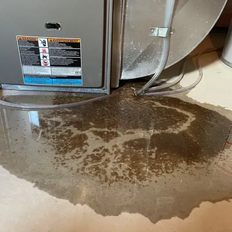 Appliance Leak Cleanup in Lealman, FL